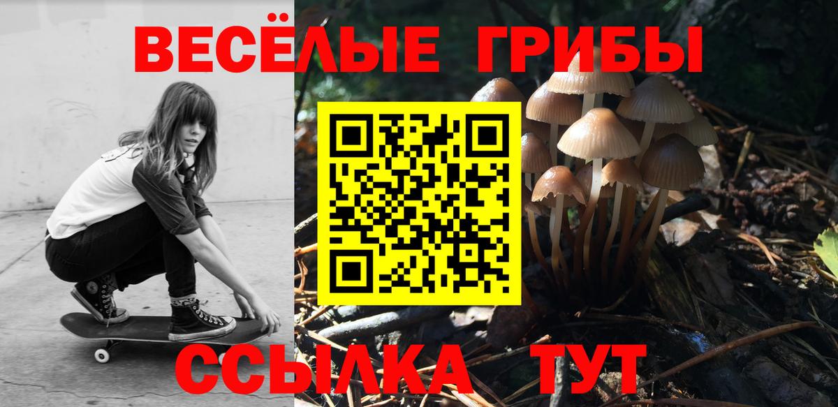 Псилоцибиновые грибы GOLDEN TEACHER  Галлюциногенные грибы Magic Shrooms  Вход с VPN  Кандалакша 